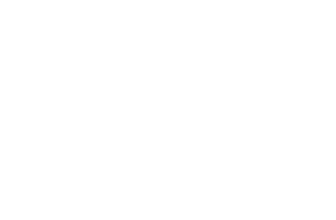 Airborne Apparel logo for the official website.